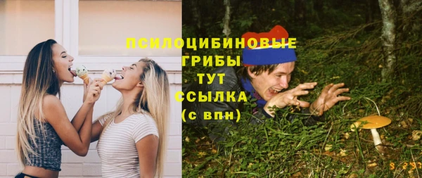 соль ск Арсеньев