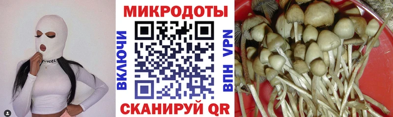 Псилоцибиновые грибы Magic Shrooms Сосногорск